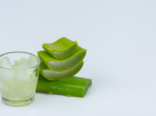 À quoi sert le gel d’aloe vera ?