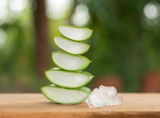 Est-ce que l’aloe vera est bon pour les rides ?