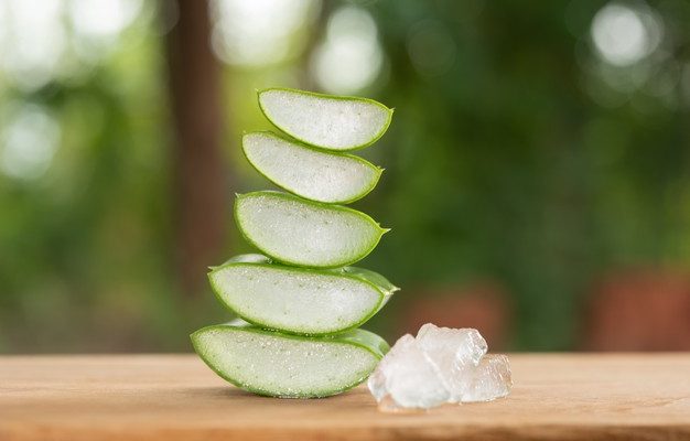 Est-ce que l’aloe vera est bon pour les rides ?